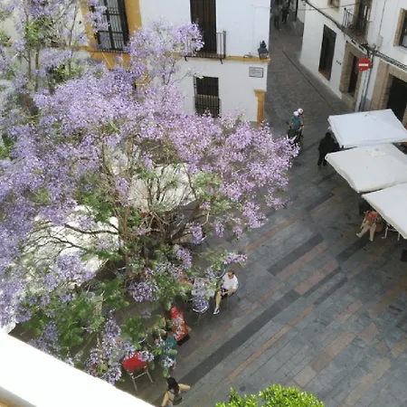 La Casa De La Musica Apartmán Córdoba