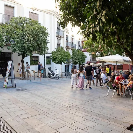 Music-Inspired Stay Near Mezquita Jewish Quarter