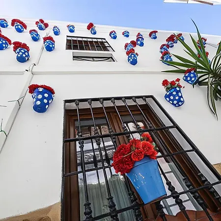 Music-Inspired Stay Near Mezquita Jewish Quarter *