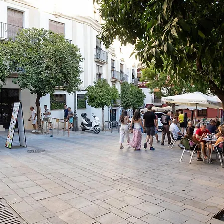 La Casa De La Musica - A Unos Pasos De La Mezquita Córdoba