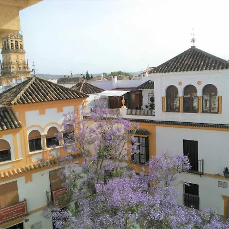 Apartment La Casa De La Musica Cordoba