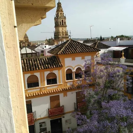 La Casa De La Musica Apartment *