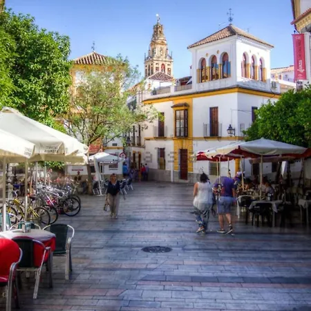La Casa De La Musica Cordoba
